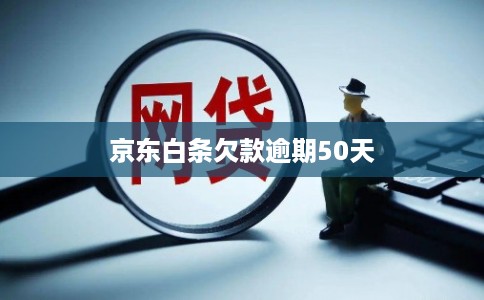 京东白条欠款逾期50天
