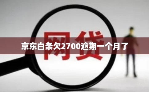 京东白条欠2700逾期一个月了 京东白条欠2700逾期一个月了