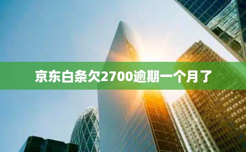 京东白条欠2700逾期一个月了