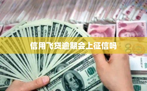 信用飞贷逾期会上征信吗 信用飞贷逾期会上征信吗