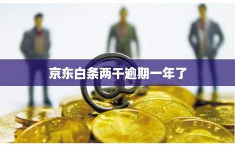 京东白条两千逾期一年了