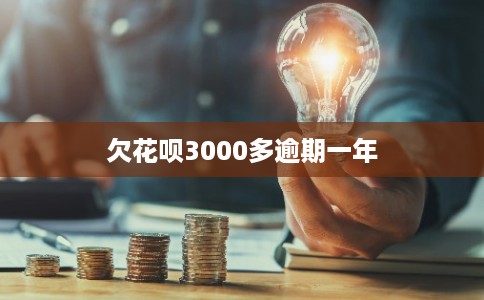 欠花呗3000多逾期一年