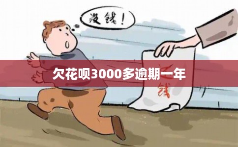 欠花呗3000多逾期一年