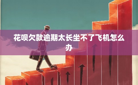 花呗欠款逾期太长坐不了飞机怎么办