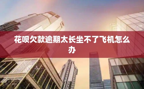 花呗欠款逾期太长坐不了飞机怎么办