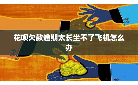 花呗欠款逾期太长坐不了飞机怎么办
