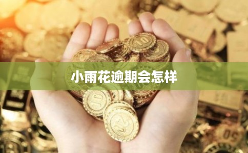 小雨花逾期会怎样