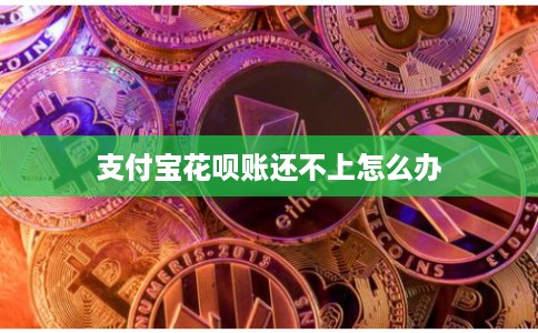 支付宝花呗账还不上怎么办