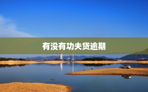 有没有功夫贷逾期