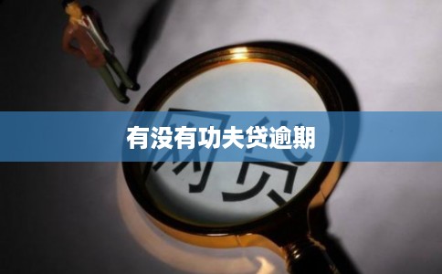 有没有功夫贷逾期