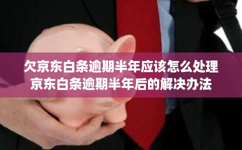 欠京东白条逾期半年应该怎么处理京东白条逾期半年后的解决办法 欠京东白条逾期半年应该怎么处理京东白条逾期半年后的解决办法
