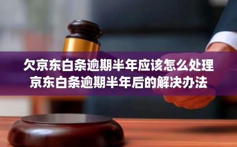 欠京东白条逾期半年应该怎么处理京东白条逾期半年后的解决办法 欠京东白条逾期半年应该怎么处理京东白条逾期半年后的解决办法