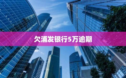 欠浦发银行5万逾期