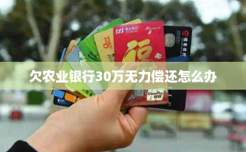 欠农业银行30万无力偿还怎么办