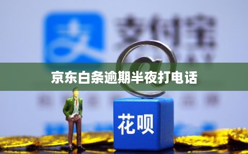 京东白条逾期半夜打电话 京东白条逾期半夜打电话