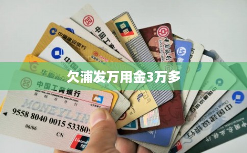 欠浦发万用金3万多