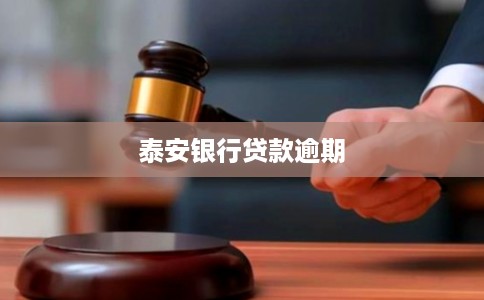 泰安银行贷款逾期