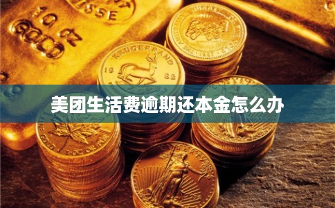 美团生活费逾期还本金怎么办