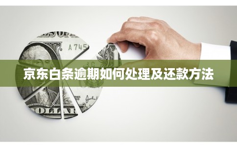 京东白条逾期如何处理及还款方法 京东白条逾期如何处理及还款方法