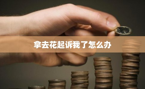 拿去花起诉我了怎么办
