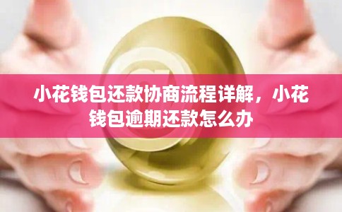 小花钱包还款协商流程详解,小花钱包逾期还款怎么办 小花钱包还款协商流程详解,小花钱包逾期还款怎么办