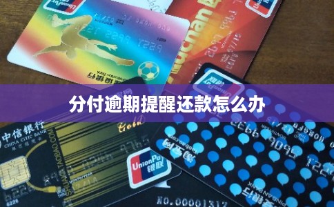分付逾期提醒还款怎么办 分付逾期提醒还款怎么办