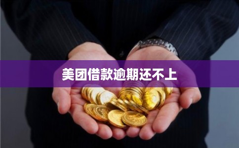 美团借款逾期还不上