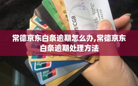 常德京东白条逾期怎么办,常德京东白条逾期处理方法