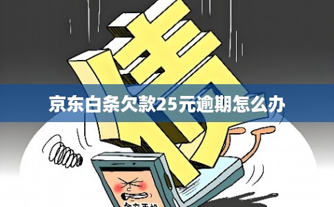 京东白条欠款25元逾期怎么办 京东白条欠款25元逾期怎么办