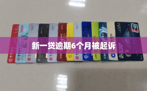 新一贷逾期6个月被起诉