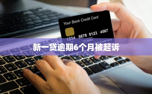 新一贷逾期6个月被起诉