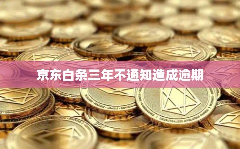 京东白条三年不通知造成逾期