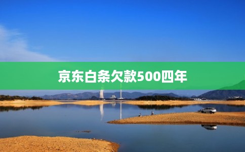 京东白条欠款500四年