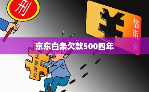 京东白条欠款500四年