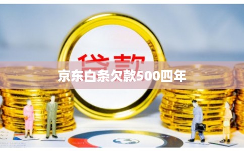 京东白条欠款500四年