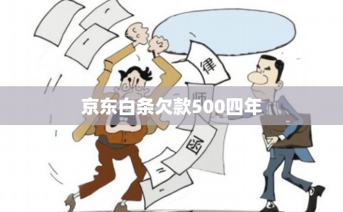 京东白条欠款500四年
