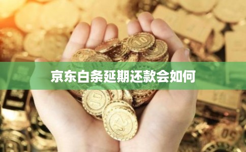 京东白条延期还款会如何