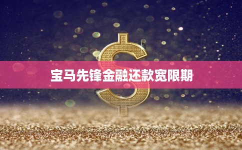 宝马先锋金融还款宽限期