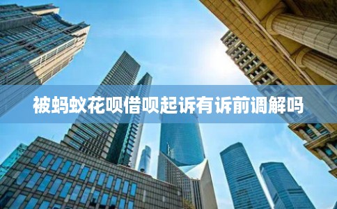 被蚂蚁花呗借呗起诉有诉前调解吗