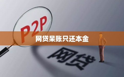 网贷呆账只还本金