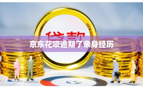 京东花呗逾期了亲身经历