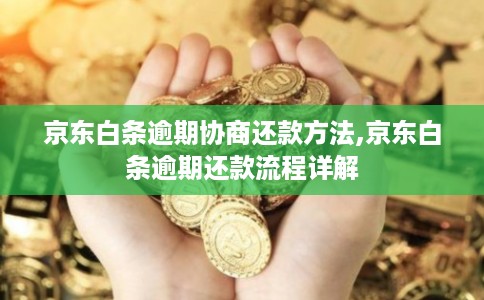 京东白条逾期协商还款方法,京东白条逾期还款流程详解