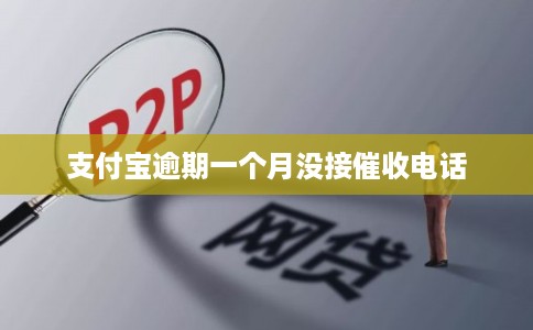 支付宝逾期一个月没接催收电话