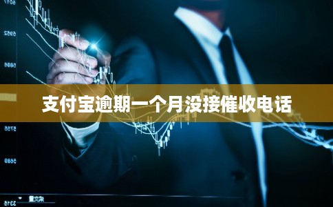 支付宝逾期一个月没接催收电话