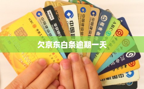 欠京东白条逾期一天