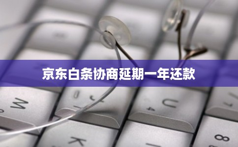 京东白条协商延期一年还款