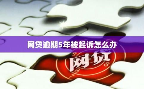 网贷逾期5年被起诉怎么办