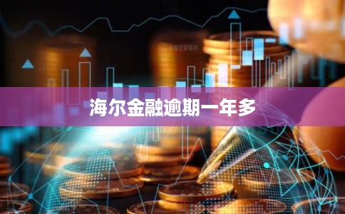 海尔金融逾期一年多