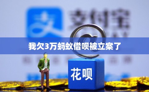我欠3万蚂蚁借呗被立案了