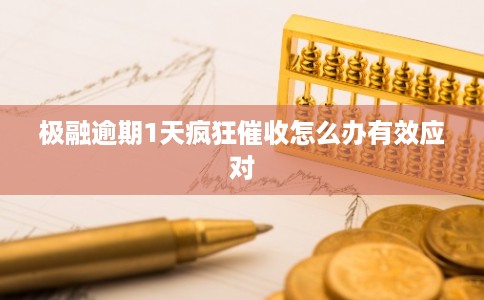 极融逾期1天疯狂催收怎么办有效应对